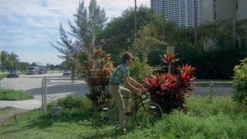 Karate Warrior 2 (1988) download