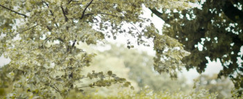 Kaufman's Game (2017) download