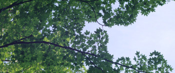 Keith Richards: Under the Influence (2015) download