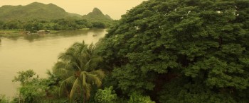 Kickboxer: Vengeance (2016) download