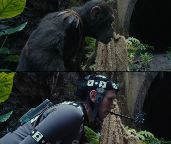 Kingdom of the Planet of the Apes (2024) download