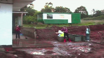 Kingdom of Us (2017) download