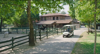 Konusan Hayvanlar (2019) download