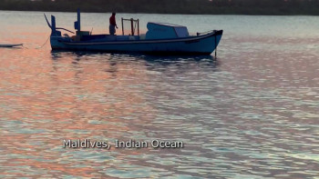 Koran by Heart (2011) download