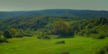 Köstebekgiller: Ata Tohumu Muhafizlari (2025) download