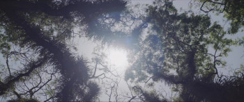 Kupu-Kupu Kertas (2024) download