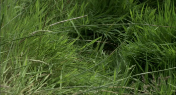 La ligne de partage des eaux (2013) download