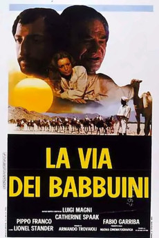La via dei babbuini (1974) download