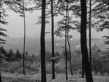 Lady Chatterley's Lover (1955) download