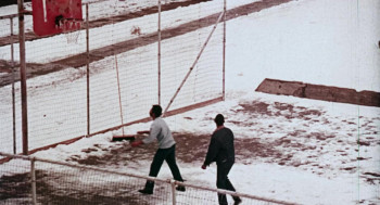 Lady Cocoa (1975) download