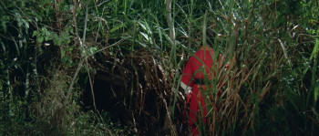 Lady with a Sword (1971) download