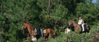 Lady with a Sword (1971) download