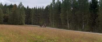 Land of Hope (2018) download