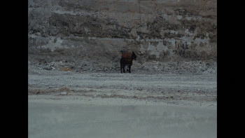 L'annonce faite à Marie (1991) download