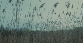 Last Straw (2023) download