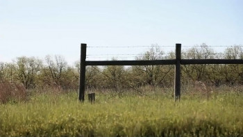 Last Words (2017) download