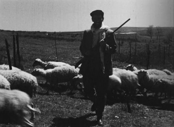 Law of the Border (1967) download