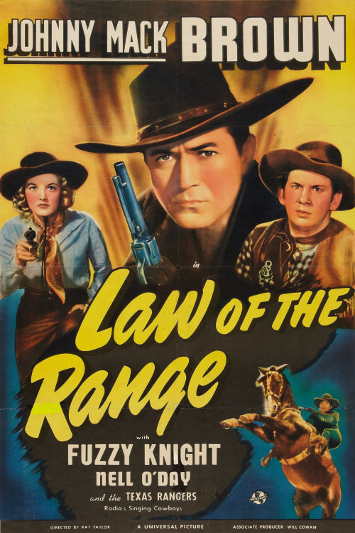 Law of the Range (1941) download