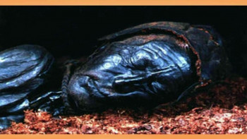 Legend of the Bog (2009) download