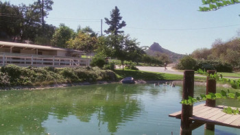 Lies Before Kisses (1991) download