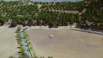 Lies Before Kisses (1991) download