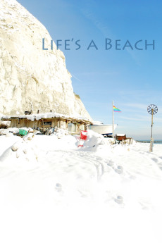 Life's A Beach (2014) download