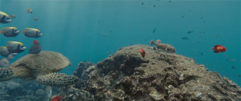 Lilo & Stitch (2025) download