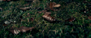 Listen to the Universe (2019) download