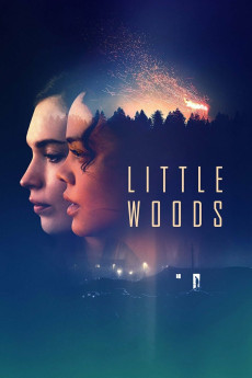 Little Woods (2018) download