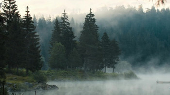 Loch Ness Monster Captured (2024) download