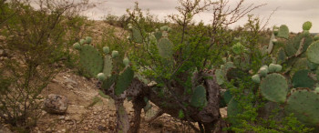 Lone Star (1996) download