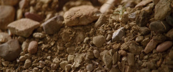 Lone Star (1996) download