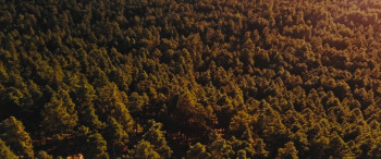 Lookout (2025) download