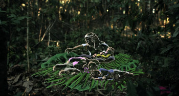 Lost in the Jungle (2024) download