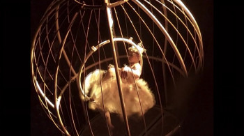 Lost in Vagueness (2018) download