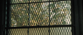 Lost Souls (2000) download