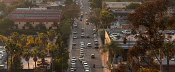 Love the Skin You're In (2025) download