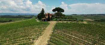 Love, Wine & Salt: A Tuscan Romance (2024) download