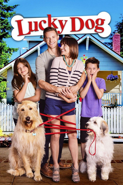 Lucky Dog (2015) download