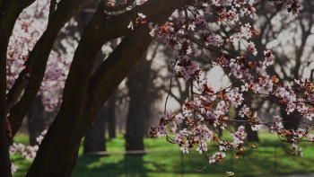 Lyvia's House (2023) download