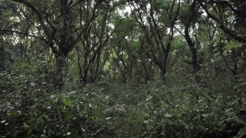 M.I.A. A Greater Evil (2018) download