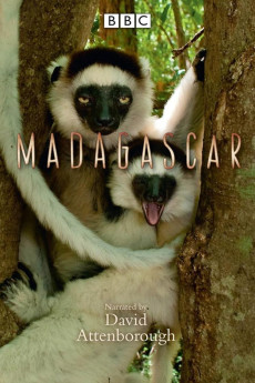 Madagascar (2011) download