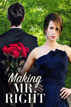 Making Mr. Right (2008) download