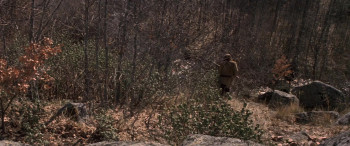 Man in the Wilderness (1971) download