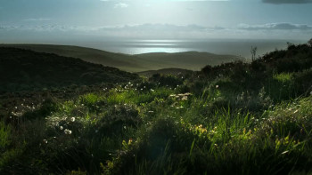 Man on the Run (2025) download