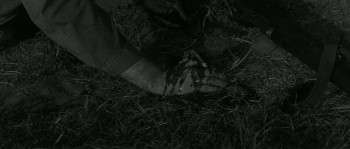 Man-Trap (1961) download