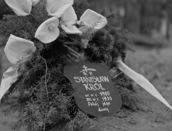 Matka Królów (1987) download