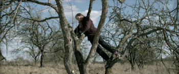 Mellow Mud (2016) download