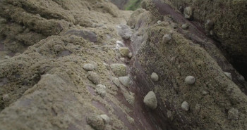 Meren tuomat (2021) download