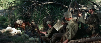 Merrill's Marauders (1962) download